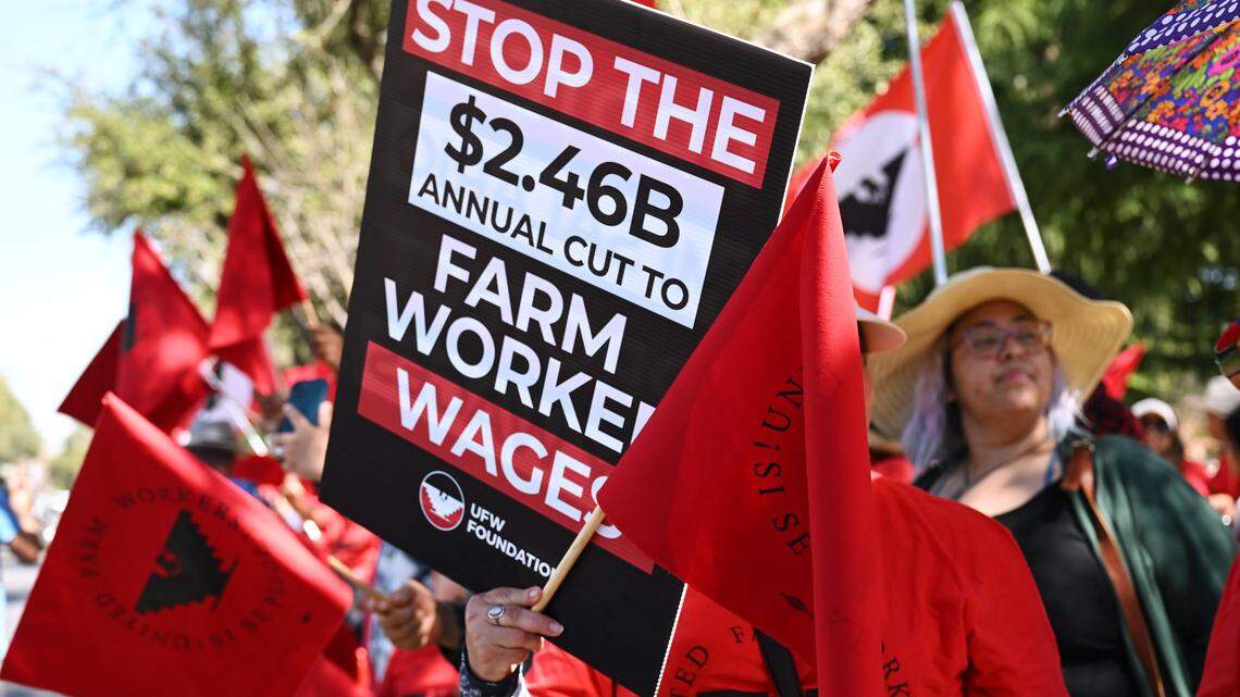 In blow to UFW, court lets Trump wage cut for guest workers remain as suit continues