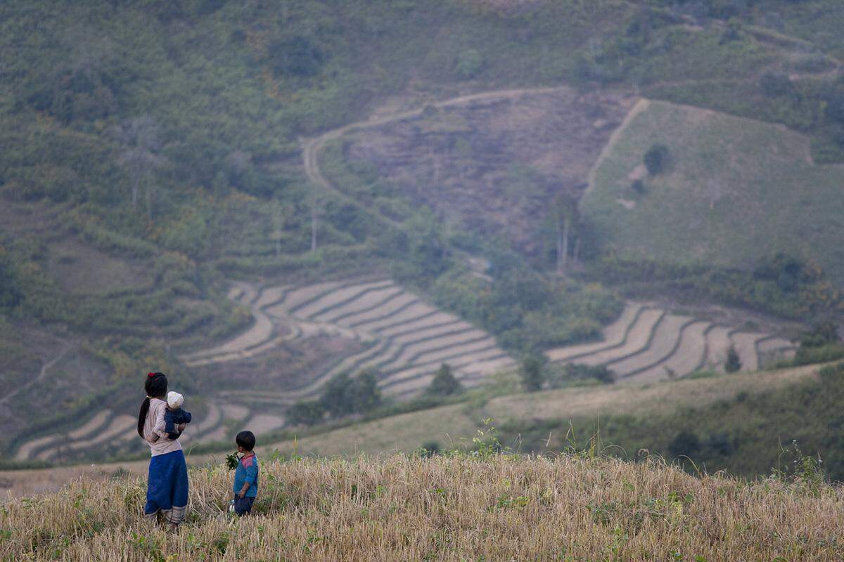 Children of the fields, Xieng Khouang Province, Laos, 2007. From Joel Pickford’s book “Soul Calling.” photo by Joel Pickford/Special to The Bee