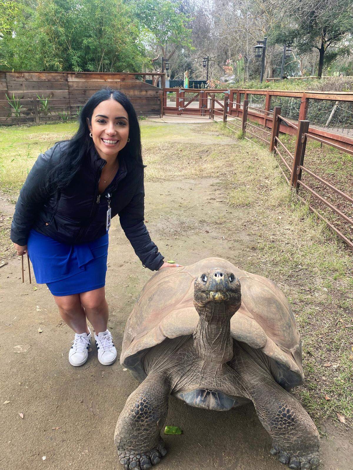 Jennifer Ortega posing with Knobby, a 64-year-old Galapagos tortoise at the Fresno Chaffee Zoo.