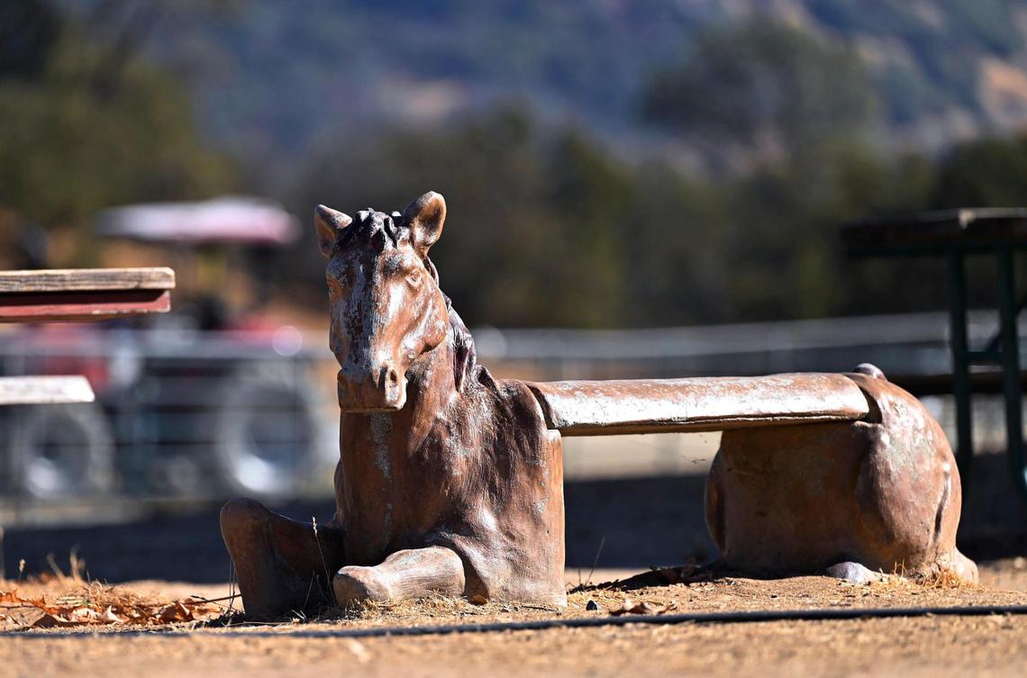 A weather-worn bench is seen at the Coarsegold Rodeo Grounds Friday, Nov. 8, 2024 near Coarsegold. New owners Ryan and Melissa Steward have plans for the rodeo’s future.