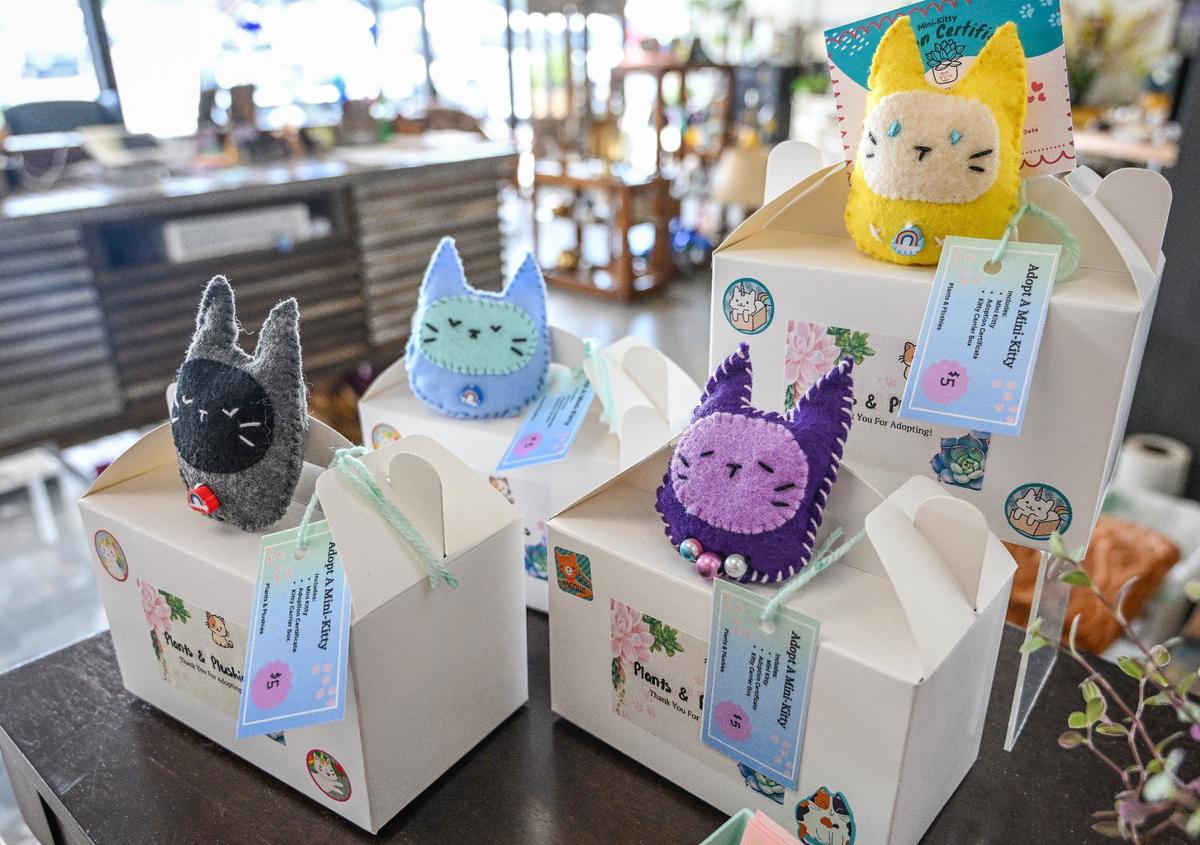 Adopt a Mini-Kitty plush toys are handmade craft kitties sold by a vendor via Resuscitated marketplace and thrift boutique store in Fresno.