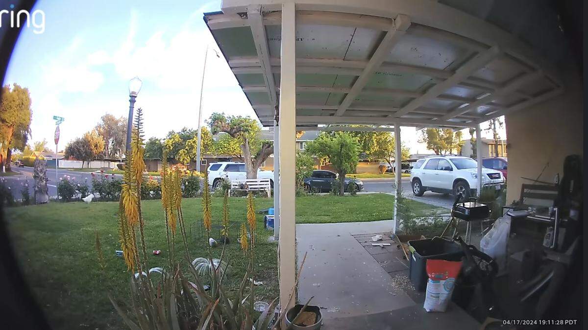Ring camera photo before the a juvenile allegedly kicked a guinea pig to death on Wednesday, April 17, 2024 in Reedley, California.