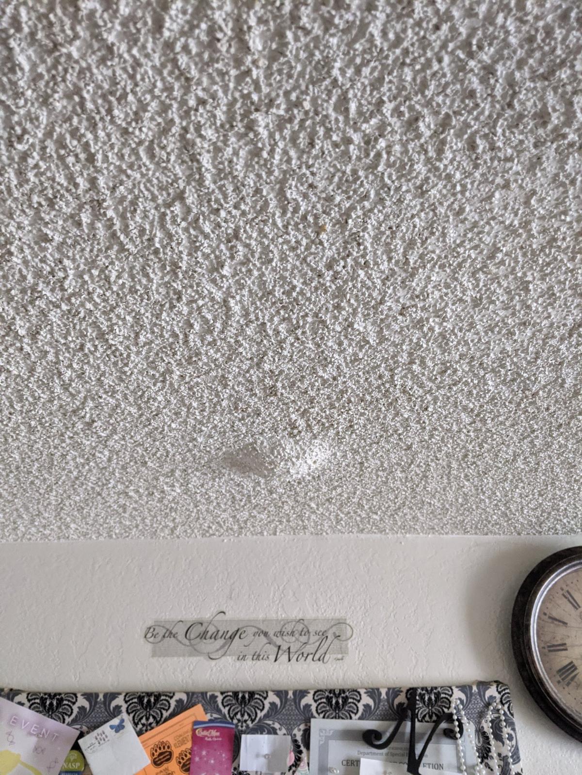 Nola Saunders, a former Torrey Ridge tenant, said plumbing issues caused water damage in her apartment ceiling.