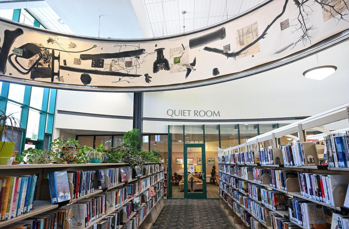 “The San Joaquin River: Gravity and Light,” which was illustrated by Janice Hansen and her three sons, is a large mural that wraps around a section of the Woodward Park Library in north Fresno.