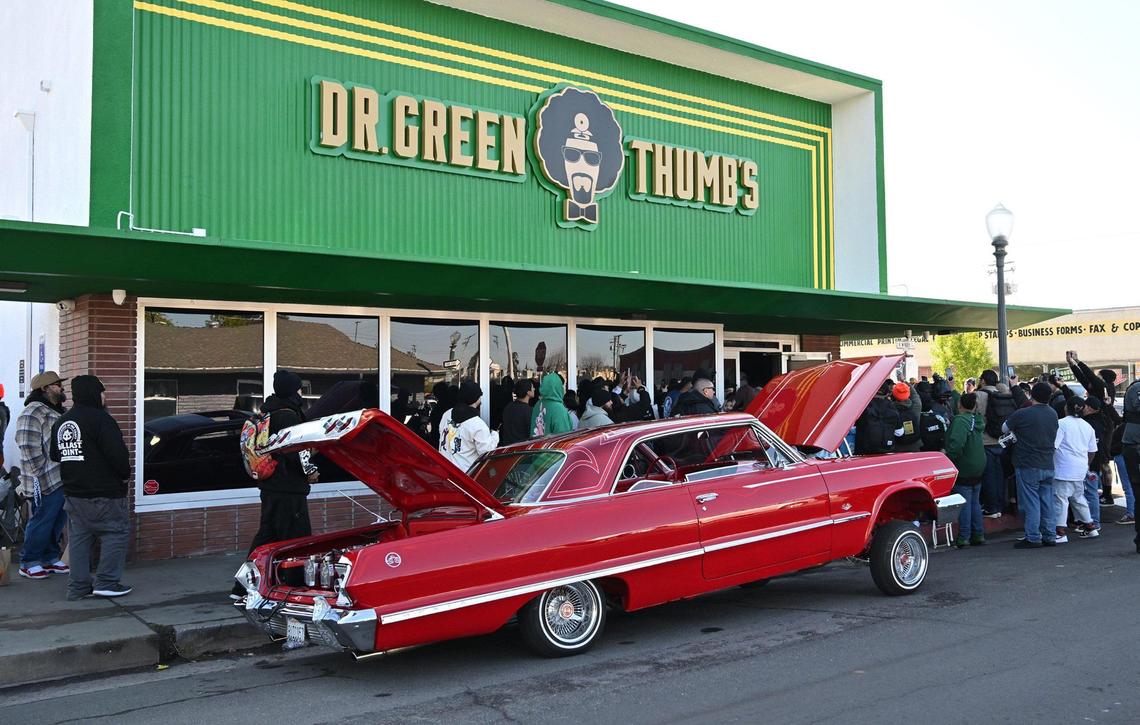 One of several low riders is seen parked in front of Dr. Greenthumbs, Fresno newest cannabis dispensary, which held its grand opening Saturday morning, April 6, 2024 in Fresno’s Tower District.