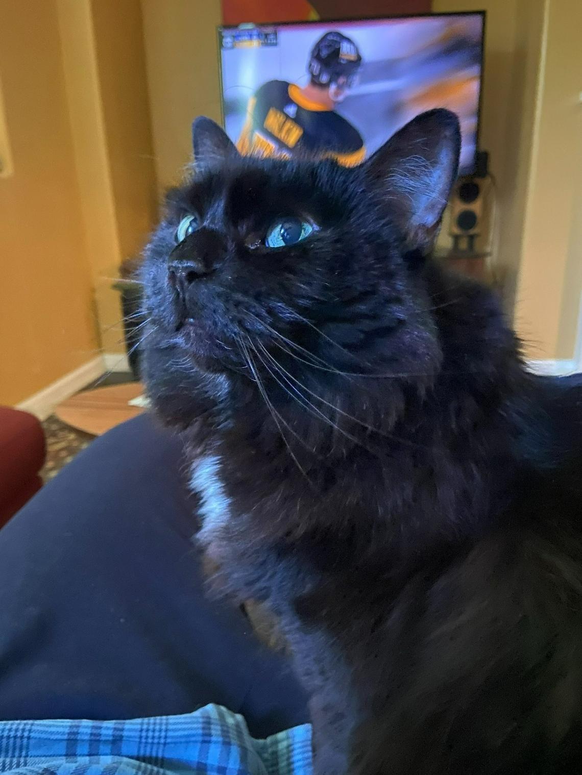 Winona shares a couch with Bee columnist Marek Warszawski.