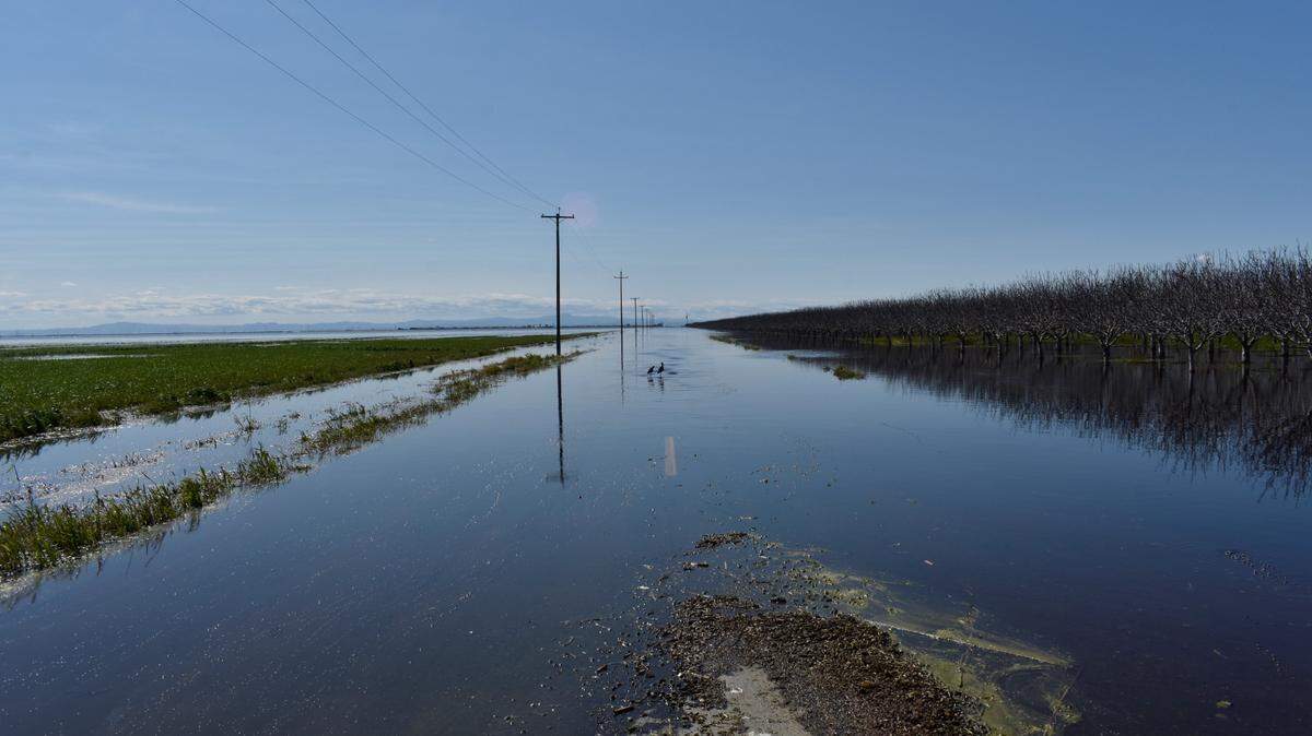 Multiple species of birds flocked to the lakebed of Tulare Lake on Ave. 120, halfway between Corcoran and Alpaugh in Tulare County, on April 4, 2023. Though the extensive rains from atmospheric rivers have stopped, the floods haven’t. The water’s edge shifts daily, and the expected snowmelt from the Sierra Nevada could worsen flood conditions across the Central Valley.
