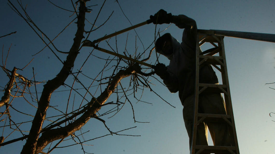 It’s time to get the pruning shears out. Here’s four tips for success