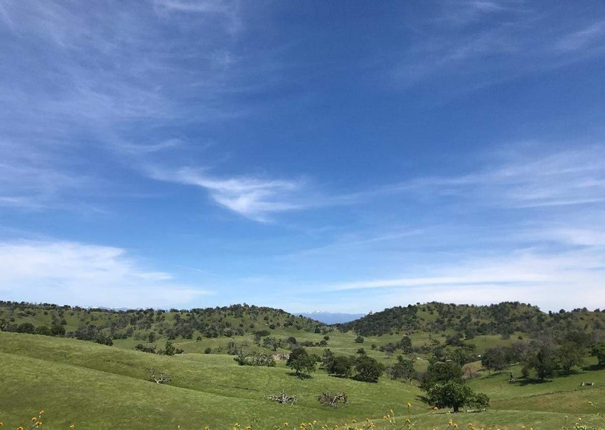 Larrick Conservation Easement