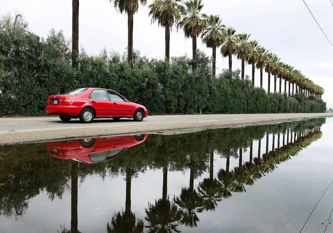 Rows of palm trees are reflected in a puddle of water on Olive Avenue near Fowler Avenue after a series of heavy showers hit the area in 2017.
