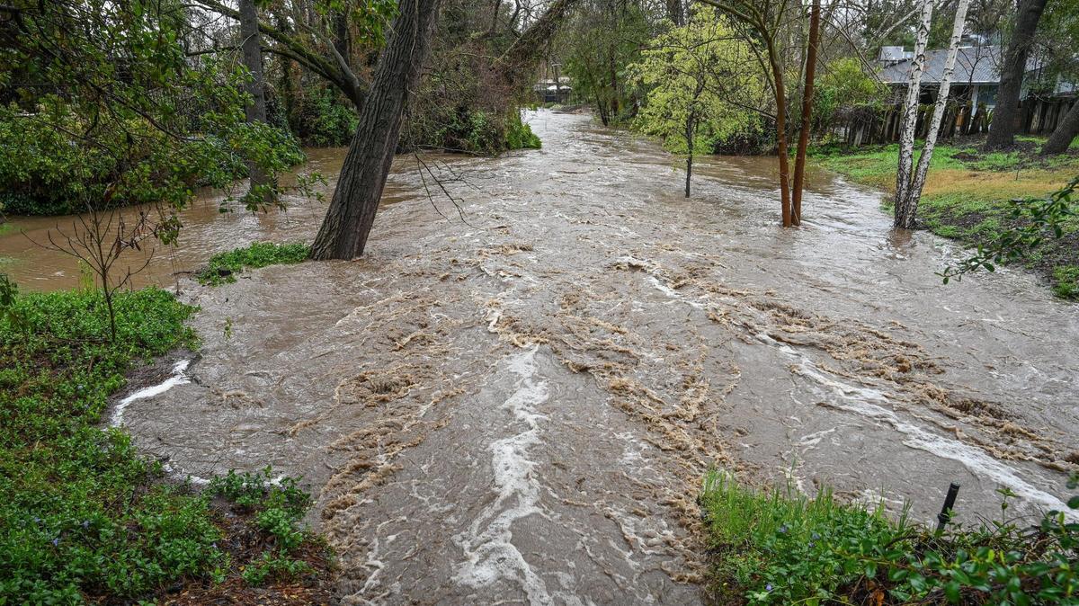 A creek in the Wildwood neighborhood along Piedra Road near the Kings River in eastern Fresno County swells close to homes in heavy rain and mountain runoff on Friday, March 10, 2023.