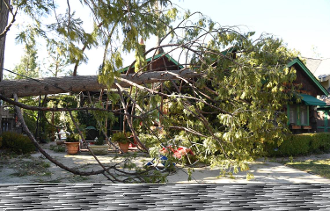 A tree lies on top of a home in the Bass Lake area after strong winds rip through the area overnight on Tuesday, Jan 19, 2021.