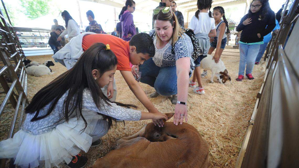 The Los Banos Spring Fair is chock full of events for the entire family.