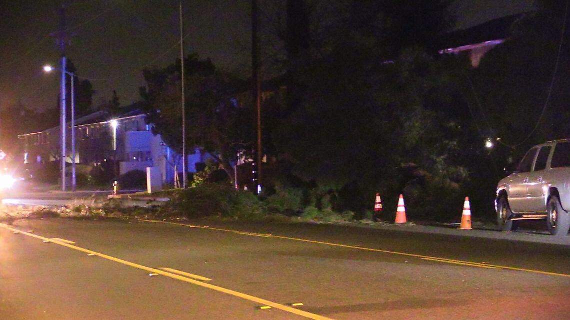 A&nbsp;tree fell on a woman who was pushing a stroller Tuesday night in Clovis. The woman, who was walking with one child and pushing another kid in a stroller, suffered a broken arm.