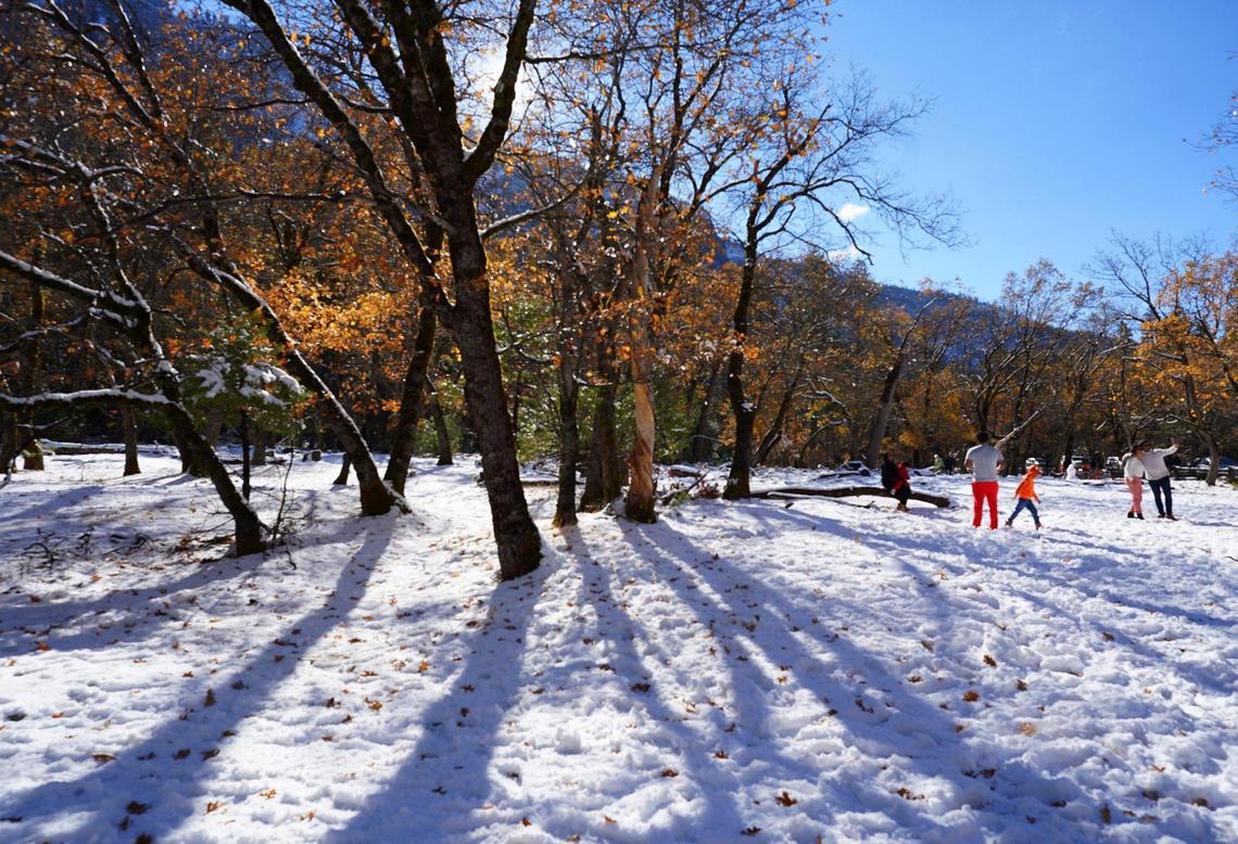 New-fallen snow covers Yosemite Valley’s floor Monday, Nov. 9, 2020, following the weekend’s snowstorm in Yosemite National Park.