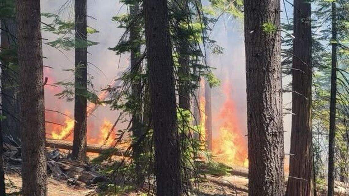 Evacuation order in place as wildfire continues to grow in Yosemite National Park