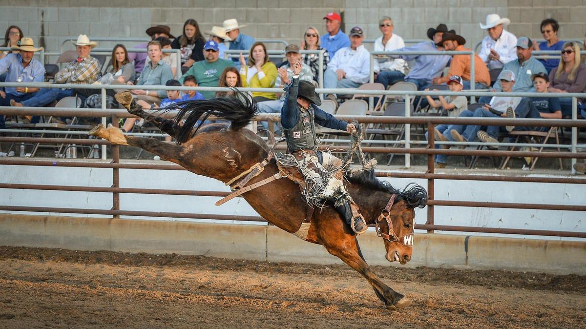 Chase Brooks rides Live it Up in the saddle bronc riding section of the PRCA event at the Clovis Rodeo on Thursday, April 23, 2021.