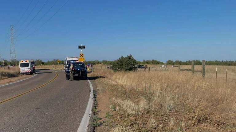 Motorcycle rider killed in crash trying to avoid dog identified as Fresno man