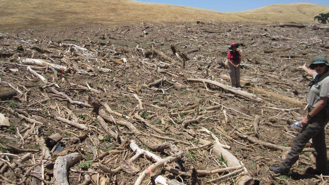 The Mariposa County Sheriff's Office said a rescue operation at Bear Reservoir led to the discovery of skeletal remains. A forensic autopsy identified the remains as missing woman Carol Brown.