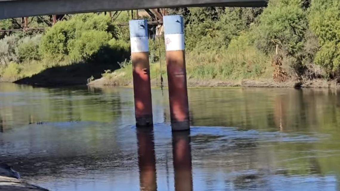 A woman and her dog drowned at Kings River on Saturday, Aug. 17, 2024.