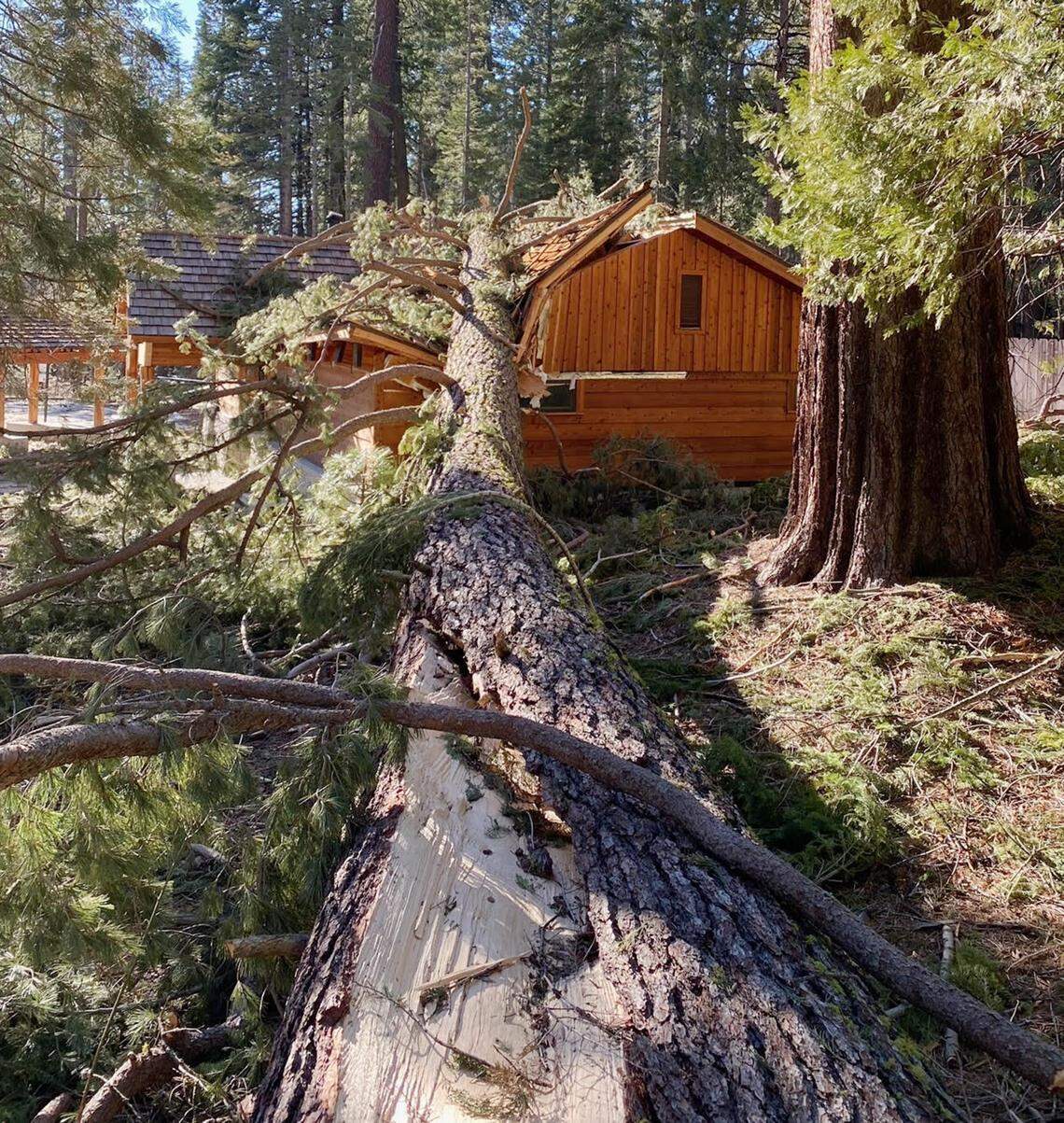 A damaged bathroom hit by a fallen tree in Yosemite’s Mariposa Grove of Giant Sequoias after strong winds ripped through the area on Jan. 18, 2021.