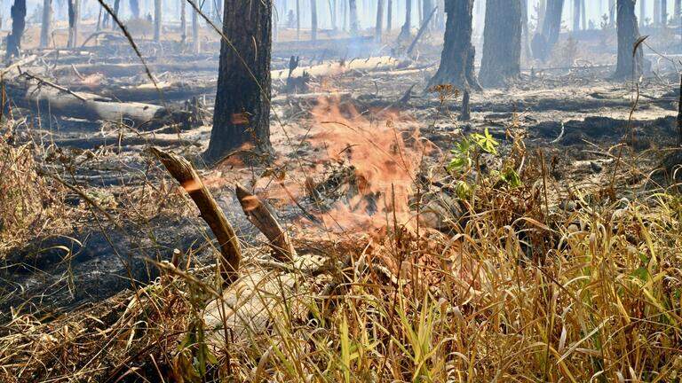 How Dome Fire in Yosemite compares to others. And why some fires lately are more intense