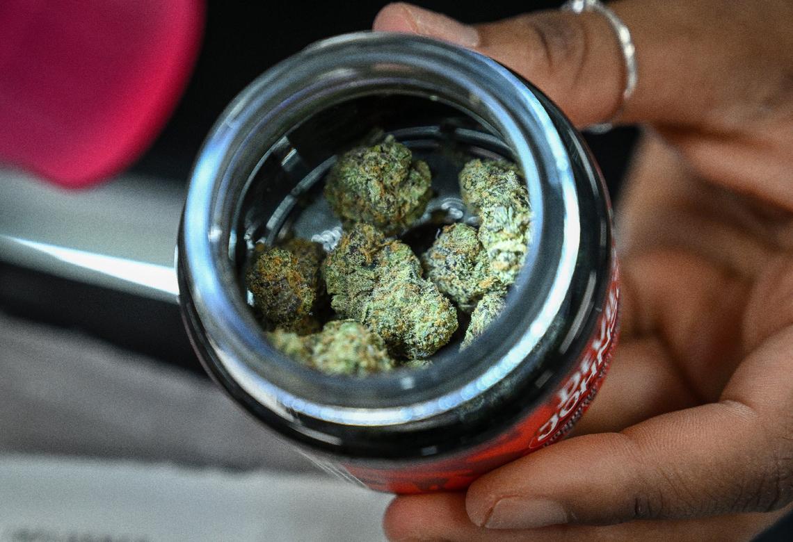 Devil’s Johnson dried cannabis flower is displayed in a container at the Stiiizy Fresno store 2024.