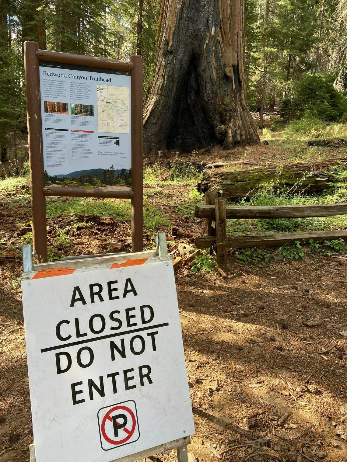 Trails in the Redwood Canyon area of Kings Canyon National Park remain off limits to the general public as a result of the 2021 KNP Complex fire, though park officials will grant access to those who request it.