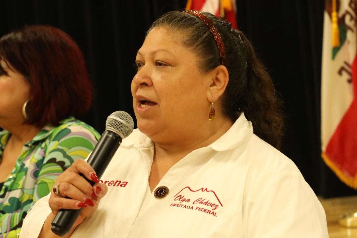Olga Chavez diputada migrante federal de Mexico.