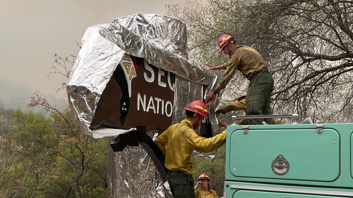 Crew wrap sign at Sequoia National Park as precaution against the KNP Complex fire.