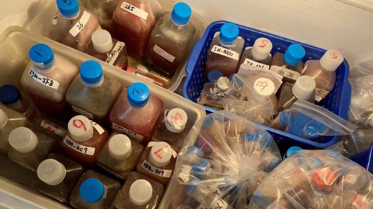 A photo taken during the spring 2023 investigation of a Chinese-owned laboratory operating illegally in Reedley, CA, shows the contents of one freezer found stored in the warehouse, including containers and vials of blood, serum, and biological agents.