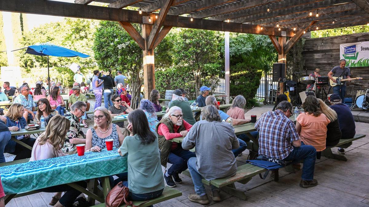 Patrons enjoy free music from Dean MacDonald and the Fellow Travelers at Gazebo Gardens nursery in Fresno on Thursday, May 15, 2025 during one of their beer garden events which are on Thursday, Friday and Saturday evenings.