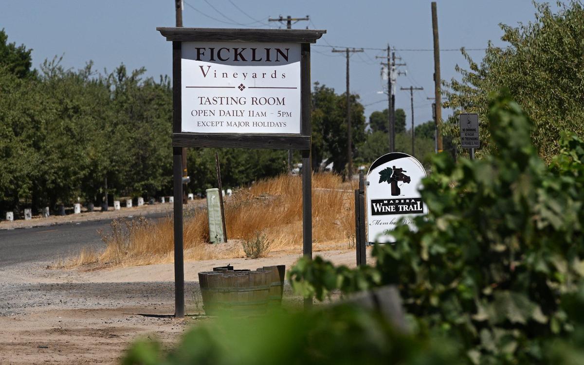 Peter Ficklin produces over 50 varieties of port wine at his Ficklin Vineyard which is part of the Madera Wine Trail. Photoraphed Wednesday, Aug. 21, 2024 near Madera, CA.