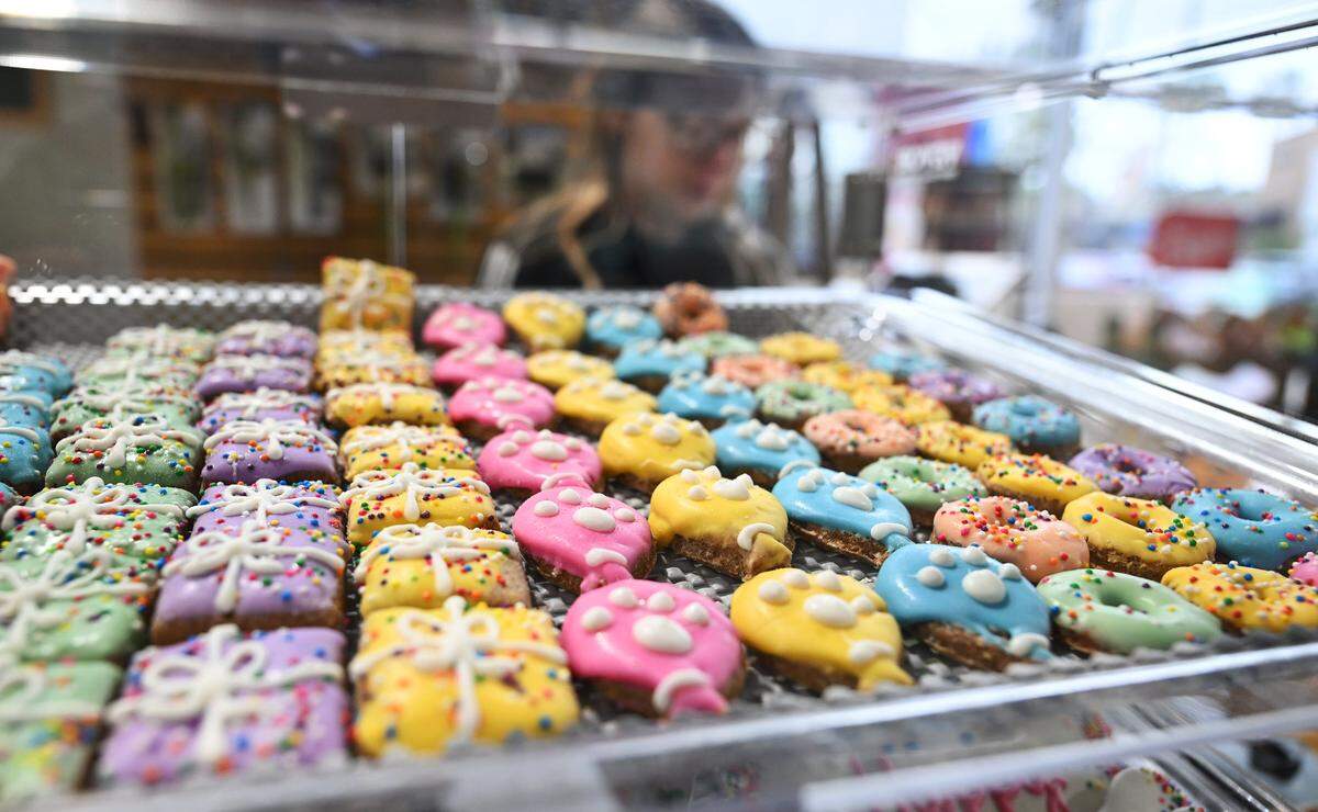Baked goods for pets are seen for sale in Neal Stuckey's Tails in Fresno, a specialty pet store located in River Park. Photographed Monday, May 4, 2026 in Fresno.