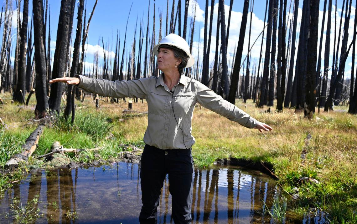 U.S. Forest Service researcher Dr. Karen Pope explains the growth of a stream, wildlife and the lush meadow grass, showcasing a revitalized Lower Grouse Meadow off Highway 168 near Shaver Lake. The area is recovering following the Creek Fire’s devastation in 2020. Photographed Wednesday, Aug. 16, 2023.