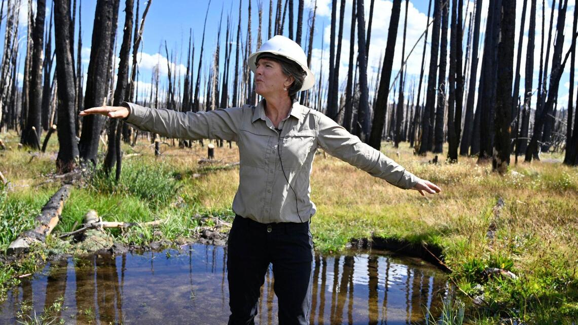 What’s machine learning? How Forest Service is reshaping Sierra Nevada in California