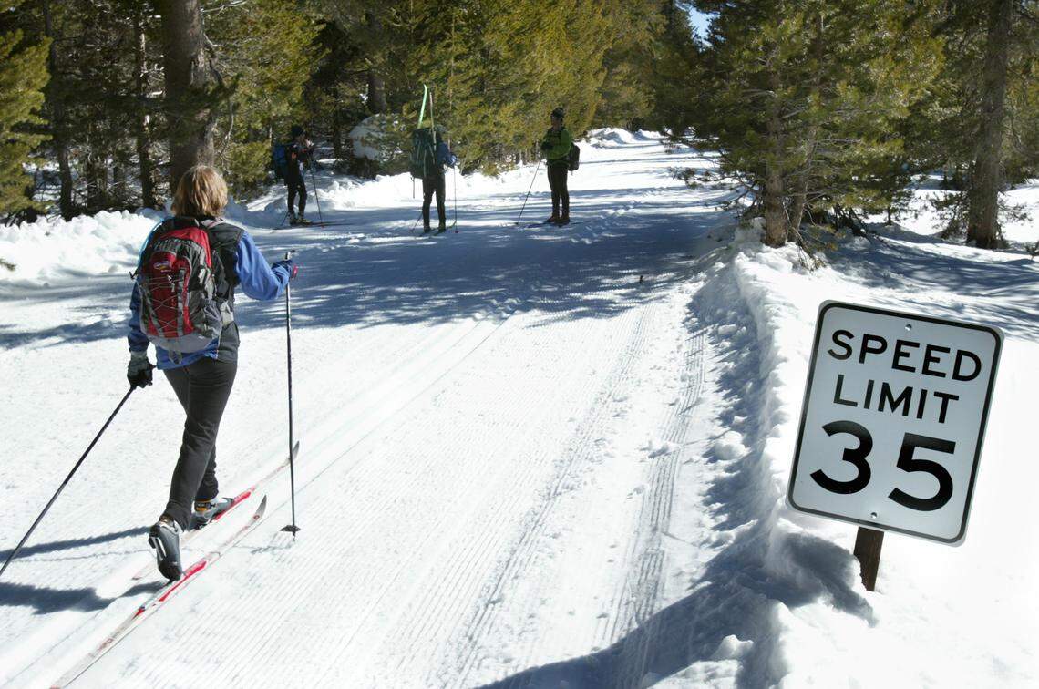 Crosscountry skiers enjoy the snow on the Glacier Point road in Yosemite National Park on Jan. 21, 2005. 