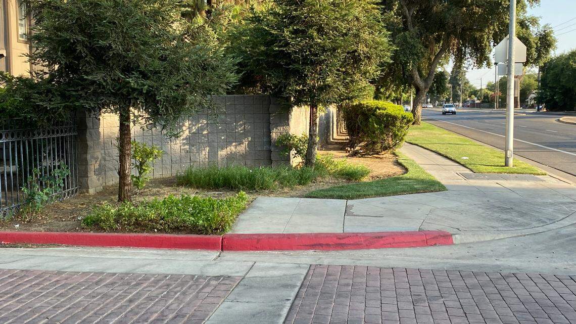 The area where a man allegedly assaulted two Fresno police officers on Tuesday, July 13, 2021.
