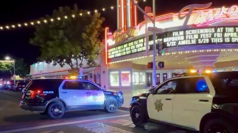 Do more cops make Fresno Tower District safer? ‘Presence alone does not prevent crime’