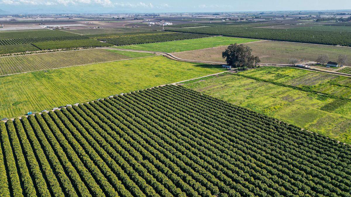 Mostly agricultural land is visible looking south from Temperance and Jensen avenues in rural Fresno County on Thursday, Feb. 12, 2026. The land is part of the Southeast Development Area, or SEDA, a 9,000-acre swath of unincorporated Fresno County land where Fresno Mayor Jerry Dyer and his administration are proposing the development of 45,000 homes.