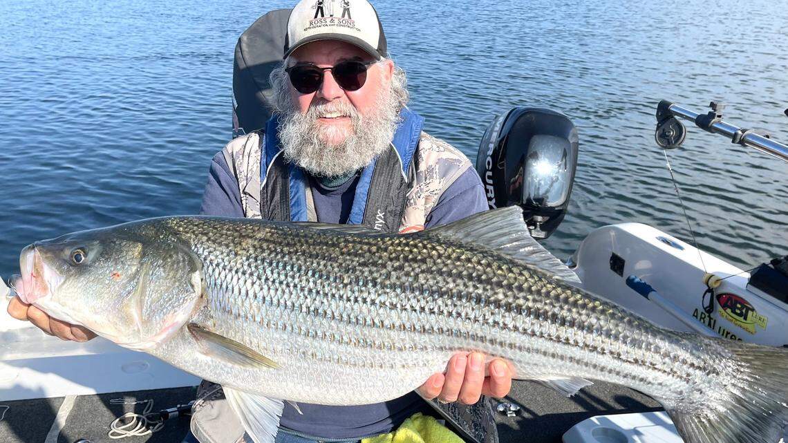 Rick Ross of Fresno shows off his personal-best 37-inch, 21.5-pound striper caught Sunday at San Luis Reservoir. Guide Roger George said, “Overall bite was slow but Rick hooked up with a new PB at about 60 feet on a silver blue lure. He was thrilled.”