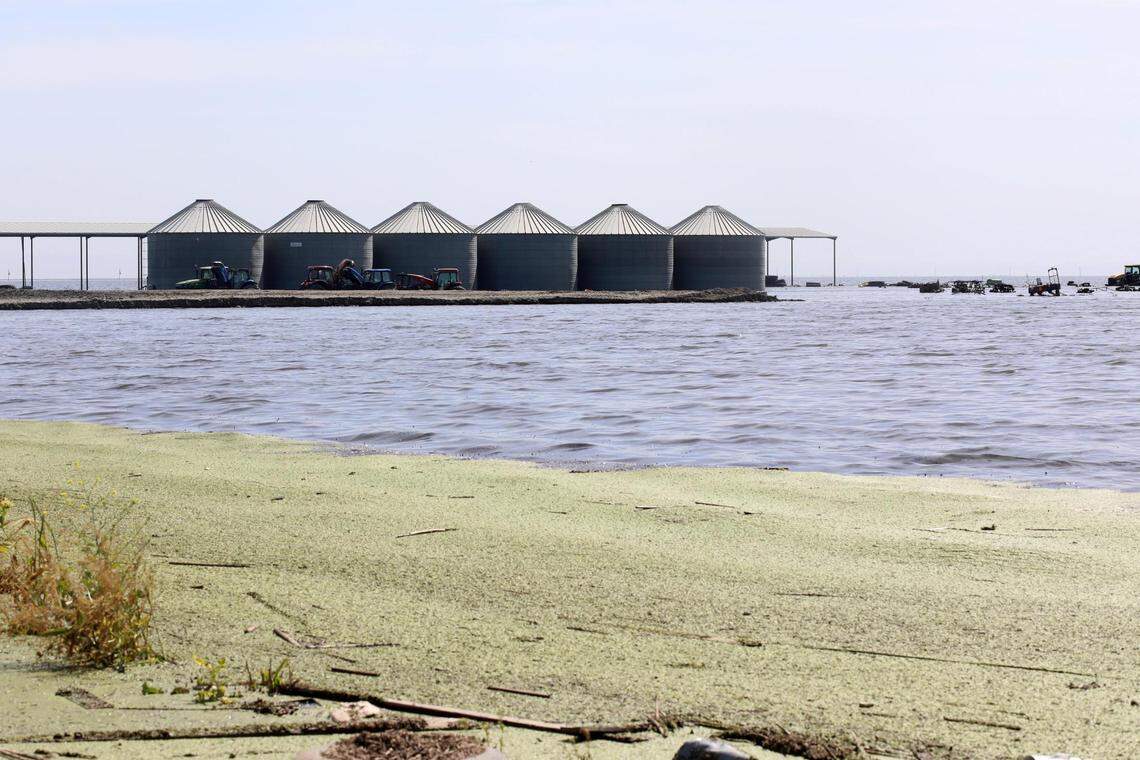 Hansen Ranches en 6th Avenue está rodeado de agua, el martes 25 de abril de 2023, al sur de Corcoran, CA.