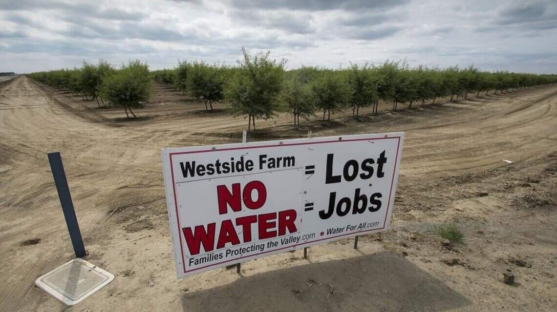 Fresno, Kings counties face job risks due to drought-related water supply, report says
