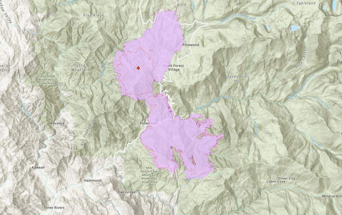 A map provided by the Southern Area Blue incident command team battling the KNP Complex shows the boundaries of the fire after the Colony and Paradise fires burned together on Friday, Sept, 18, 2021.