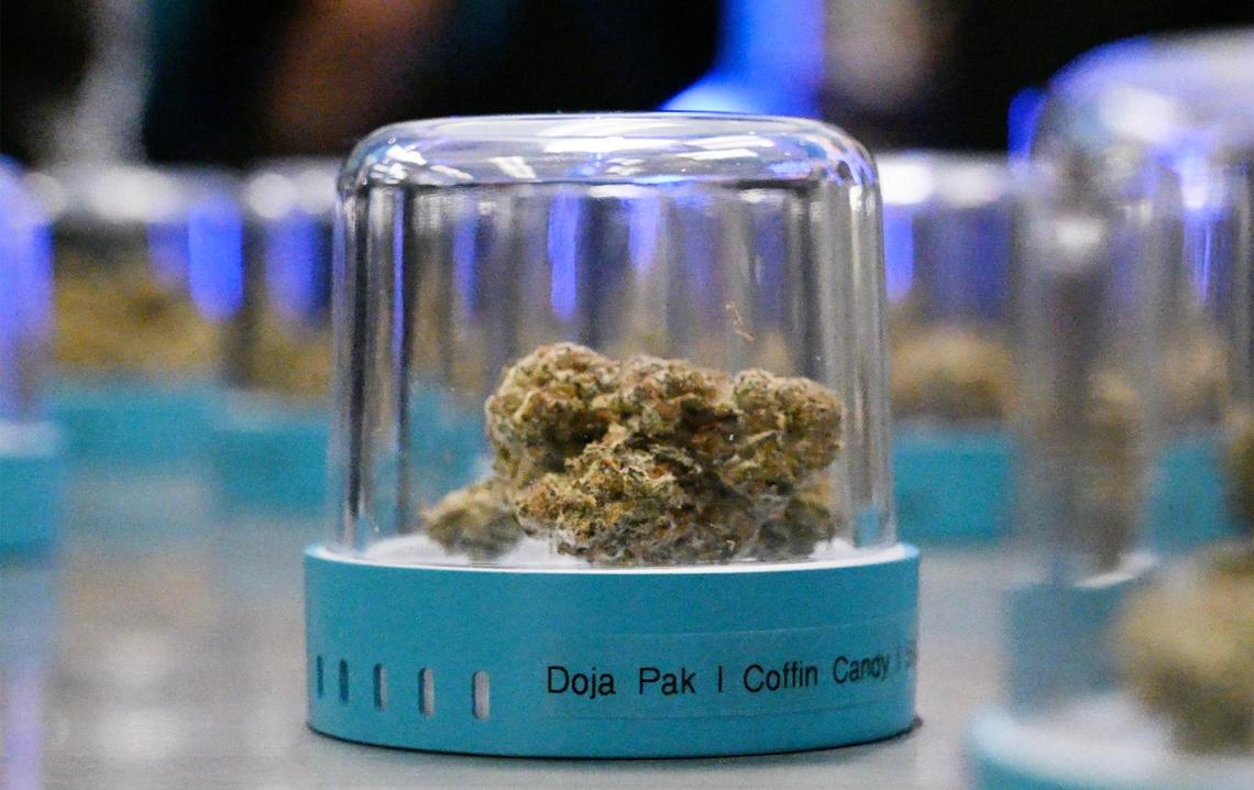 Strains of marijuana is seen on display during the grand opening of Cookies, Fresno’s newest cannabis dispensary Sunday morning, Dec. 17, 2023.
