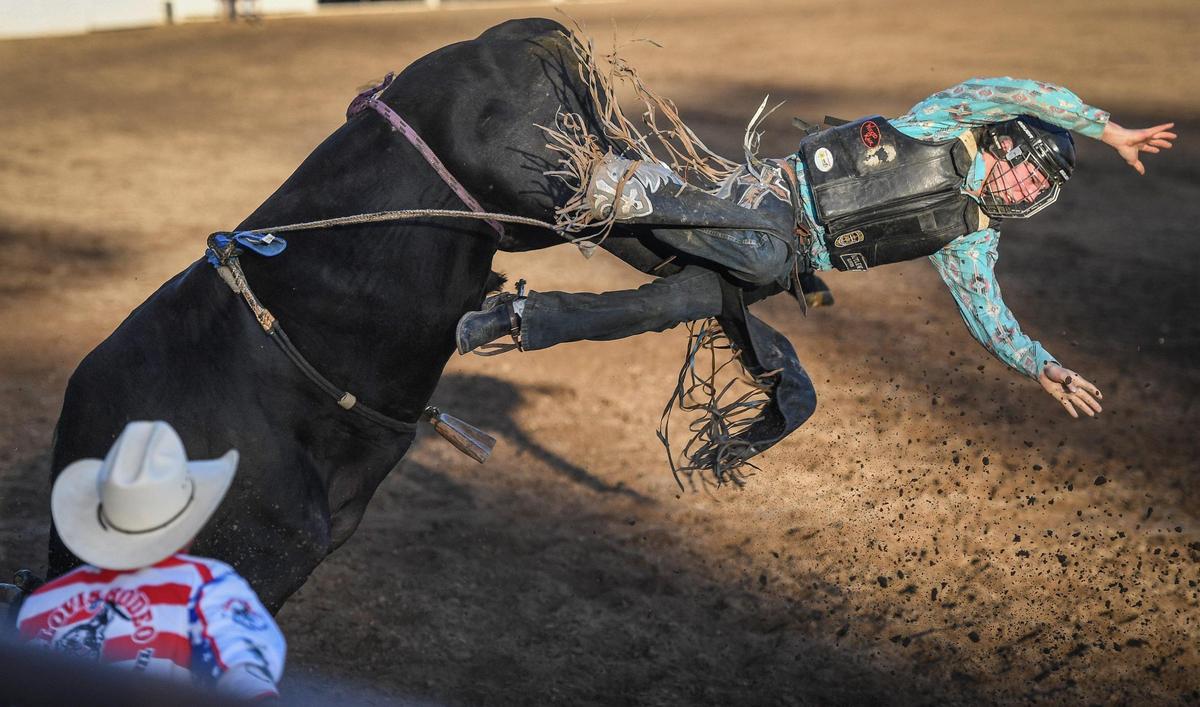 Dakota Warnken is thrown from his bull Diablo in the second section of bull riding during the Professional Bull Riders event on the opening day of the Clovis Rodeo on Wednesday, April 20, 2022.