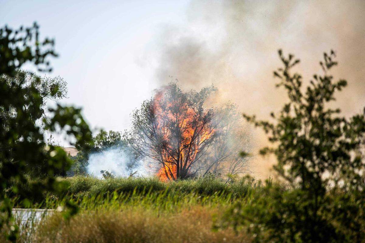 Some 125 acres had burned in a grass fire off Friant Road in Fresno County, California on Sunday, June 27, 2021.