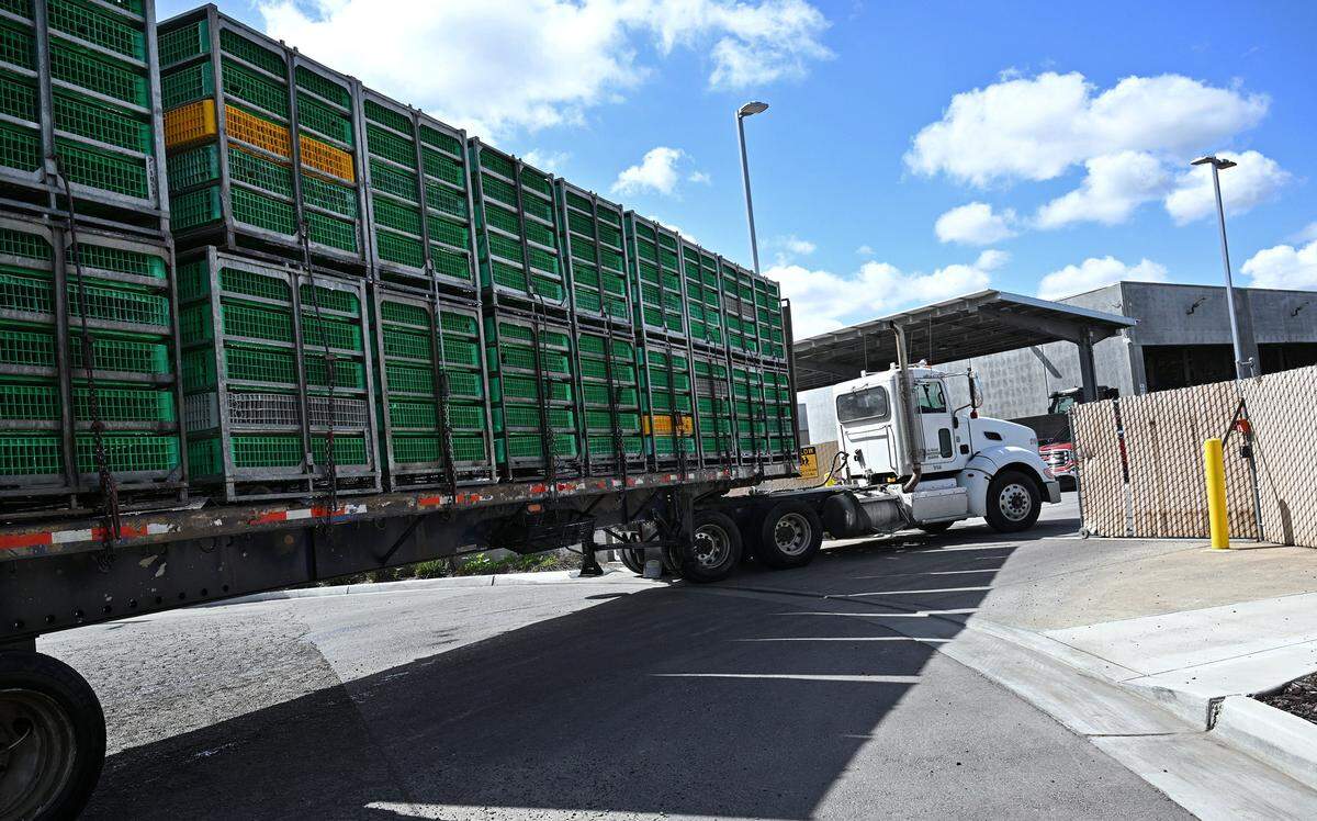 A truck carrying chicken crates pulls into Pitman Farms in Sanger Thursday, April 3, 3025 just outside of Sanger. The City of Sanger is now working with Pitman Farms in implementing new standards for water usage and treatment.