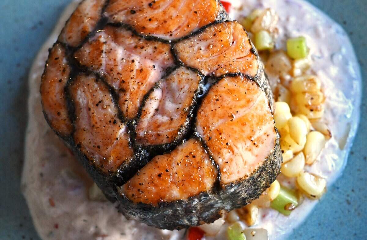 The mosaic salmon served on a bed of Fresno State corn succotash and harissa dill yogurt is served at Trelio Food & Wine Thursday, June 11, 2026 in Clovis.