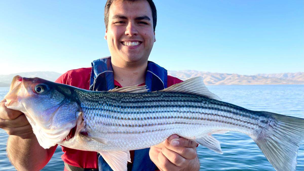 McKay Bigler of Fresno shows off a striper caught at San Luis Reservoir.